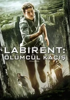 Labirent: Ölümcül Kaçış 2014 Poster