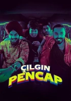 Çılgın Pencap 2024 Poster