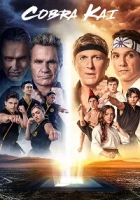 Cobra Kai 2. Sezon Poster