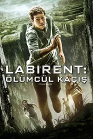 Labirent