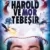 Harold ve Mor Tebeşir Small Poster