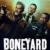 Boneyard Small Poster